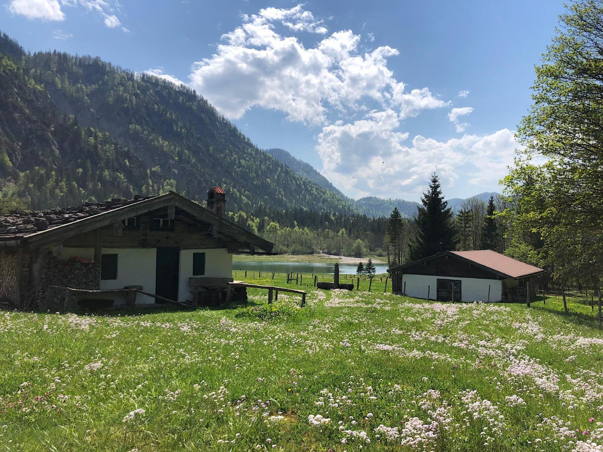 Ferienwohnung Eisenberger Inkl. Chiemgaukarte Ruhpolding Exteriör bild
